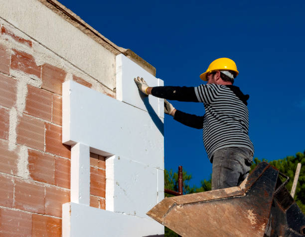 Best Insulation Maintenance and Repair in Las Cruces, NM